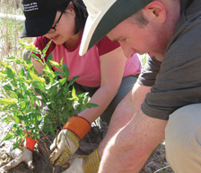 Des employés de Fonds Mutuels TD plantent des arbres