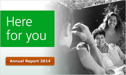 Built on strength. Focused on the Future. Annual Report 2013.
