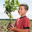 Young Aboriginal boy plants tree as part of TD Friends of the Environment initiative.