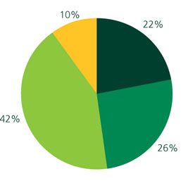 % of Donations applied to Areas of Focus