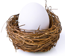 Image of a nest egg