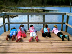 Photo of children lying down on a dock