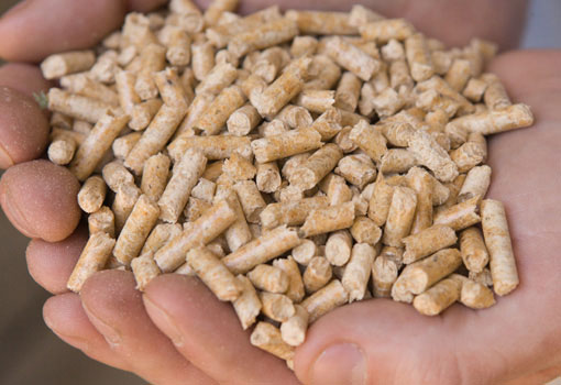 Image of biofuel pellets