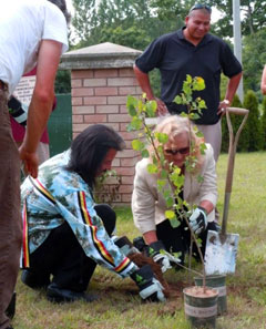Photo of planting a tree
