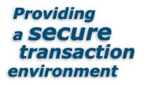 Providing a secure transaction environment